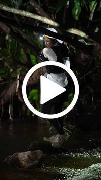 BIB:  <button type="button" onclick="openModal(27563572)" class="btn btn-primary btn-sm float-right" data-toggle="modal" data-target=".modal-high-quality">
                <i class="fa fa-download"></i> Download
                </button>